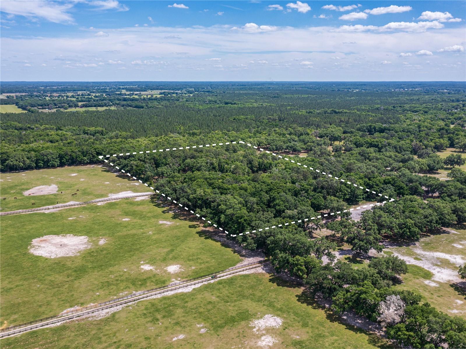 SE 199TH TER, MORRISTON, FL, 32668