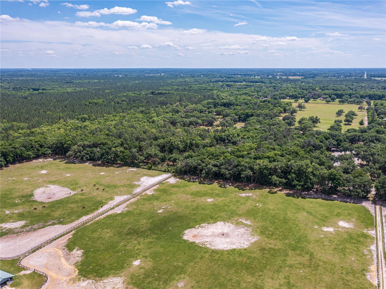SE 199TH TER, MORRISTON, FL, 32668