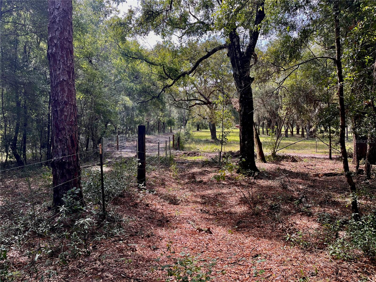 SE 199TH TER, MORRISTON, FL, 32668