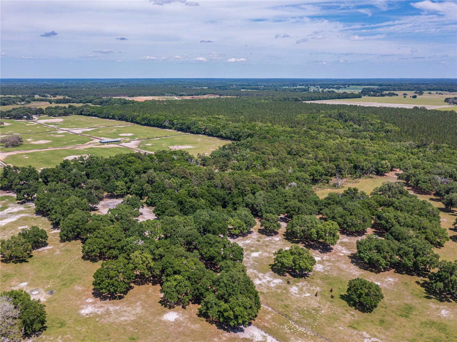 SE 199TH TER, MORRISTON, FL, 32668