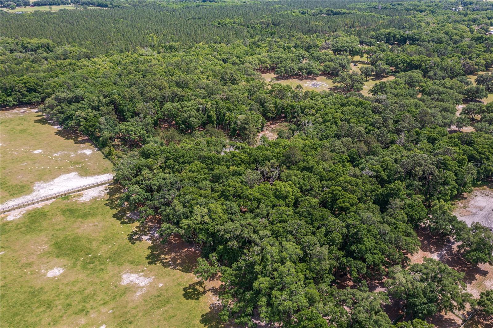 SE 199TH TER, MORRISTON, FL, 32668