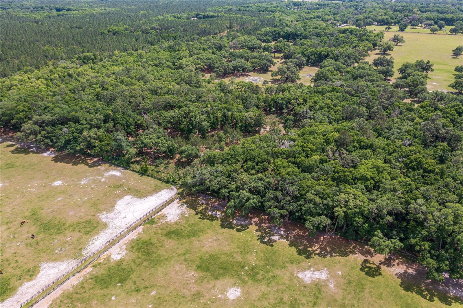 SE 199TH TER, MORRISTON, FL, 32668