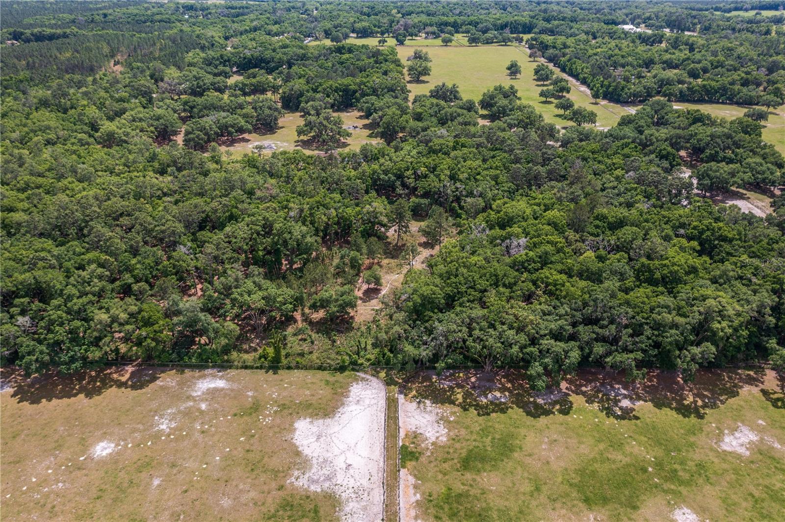 SE 199TH TER, MORRISTON, FL, 32668