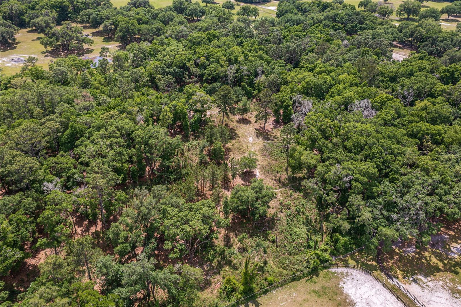 SE 199TH TER, MORRISTON, FL, 32668