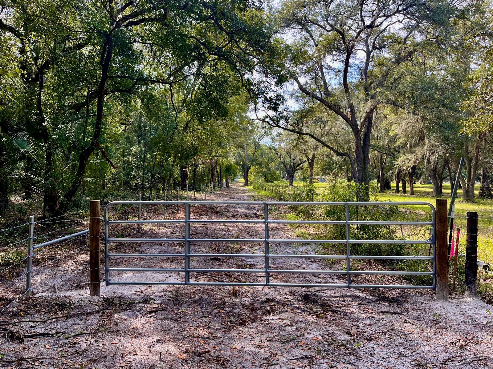 SE 199TH TER, MORRISTON, FL, 32668