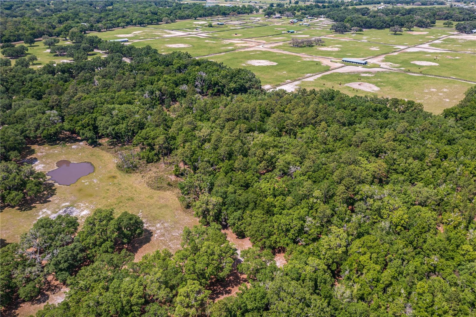 SE 199TH TER, MORRISTON, FL, 32668