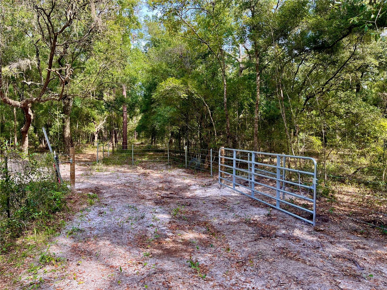 SE 199TH TER, MORRISTON, FL, 32668