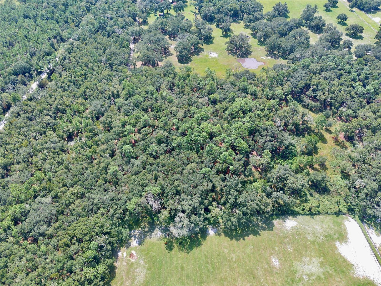 SE 199TH TER, MORRISTON, FL, 32668
