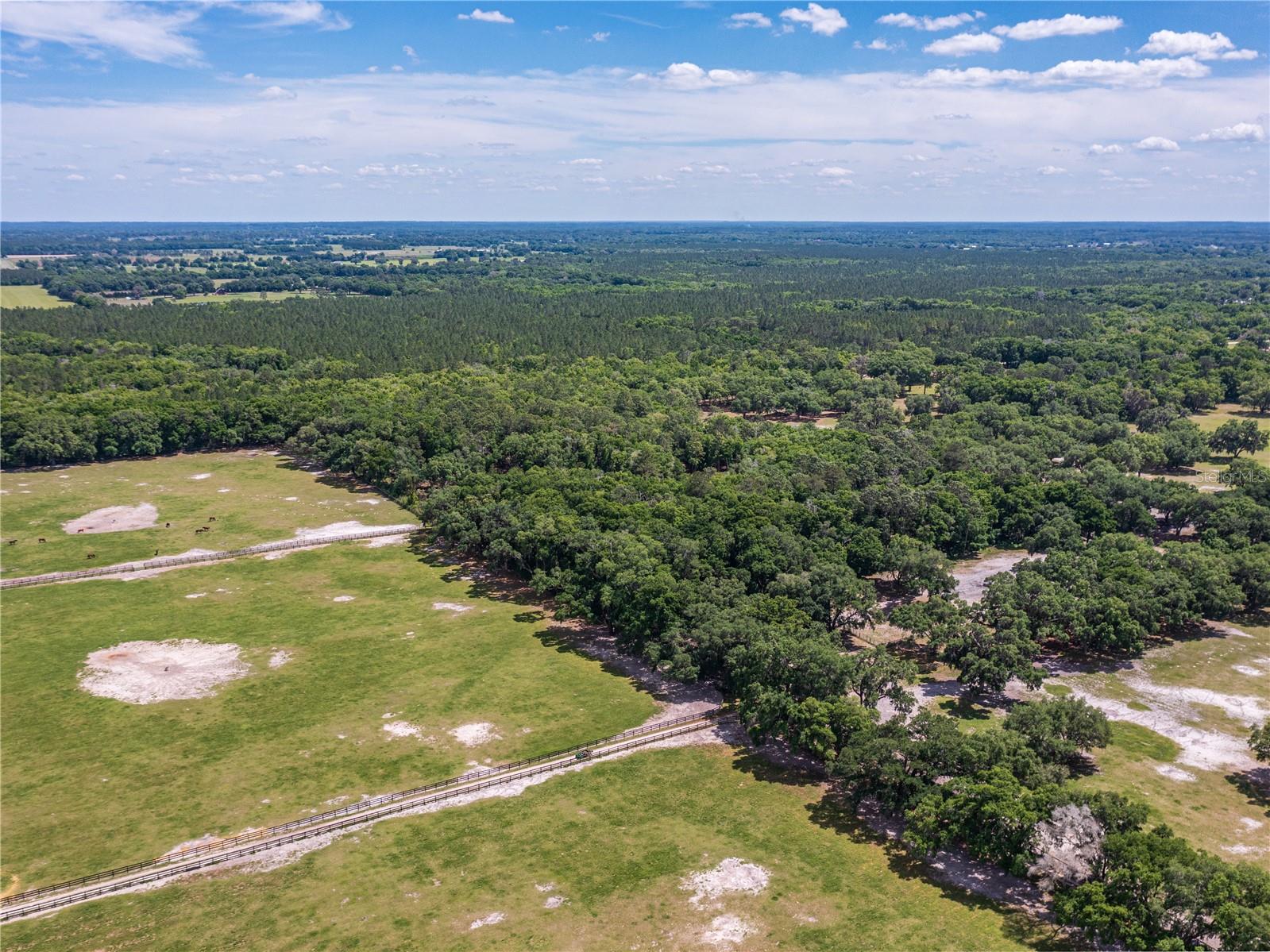 SE 199TH TER, MORRISTON, FL, 32668