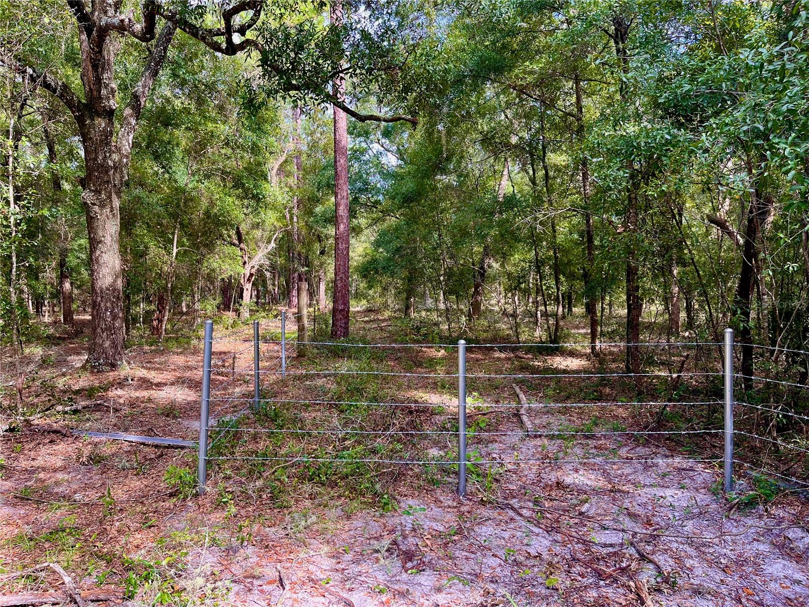 SE 199TH TER, MORRISTON, FL, 32668