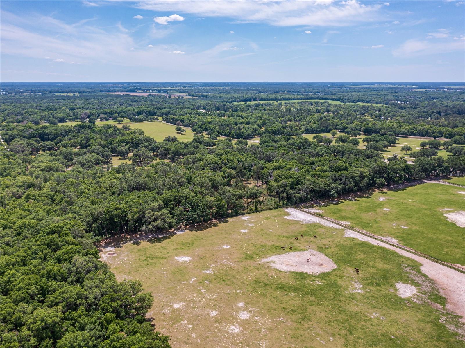 SE 199TH TER, MORRISTON, FL, 32668