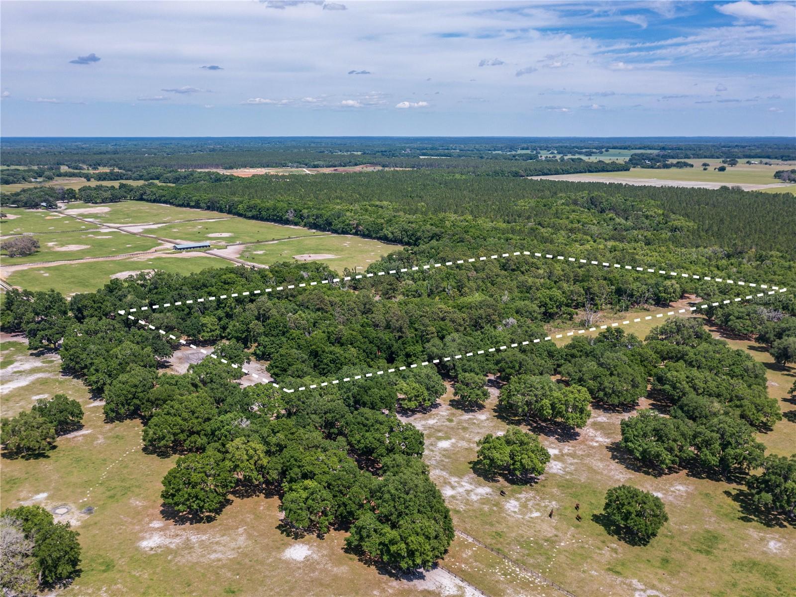 SE 199TH TER, MORRISTON, FL, 32668