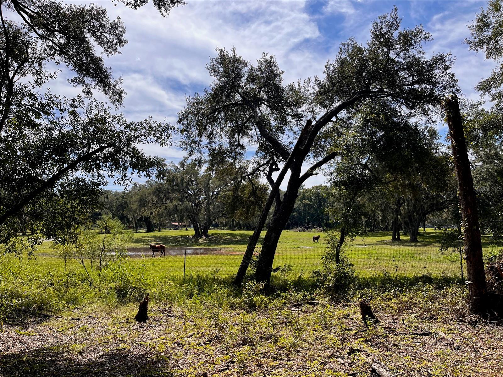 SE 199TH TER, MORRISTON, FL, 32668