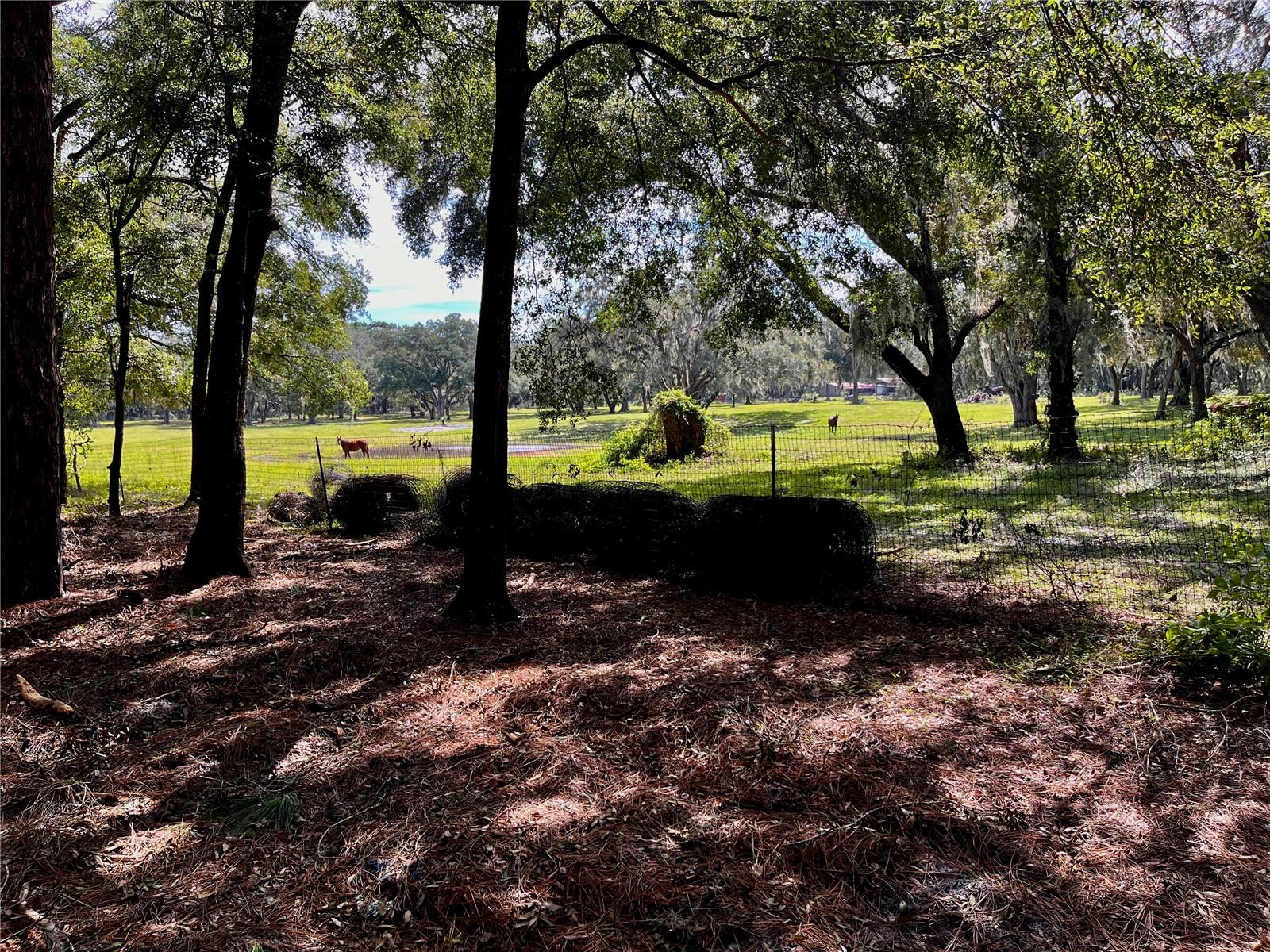 SE 199TH TER, MORRISTON, FL, 32668