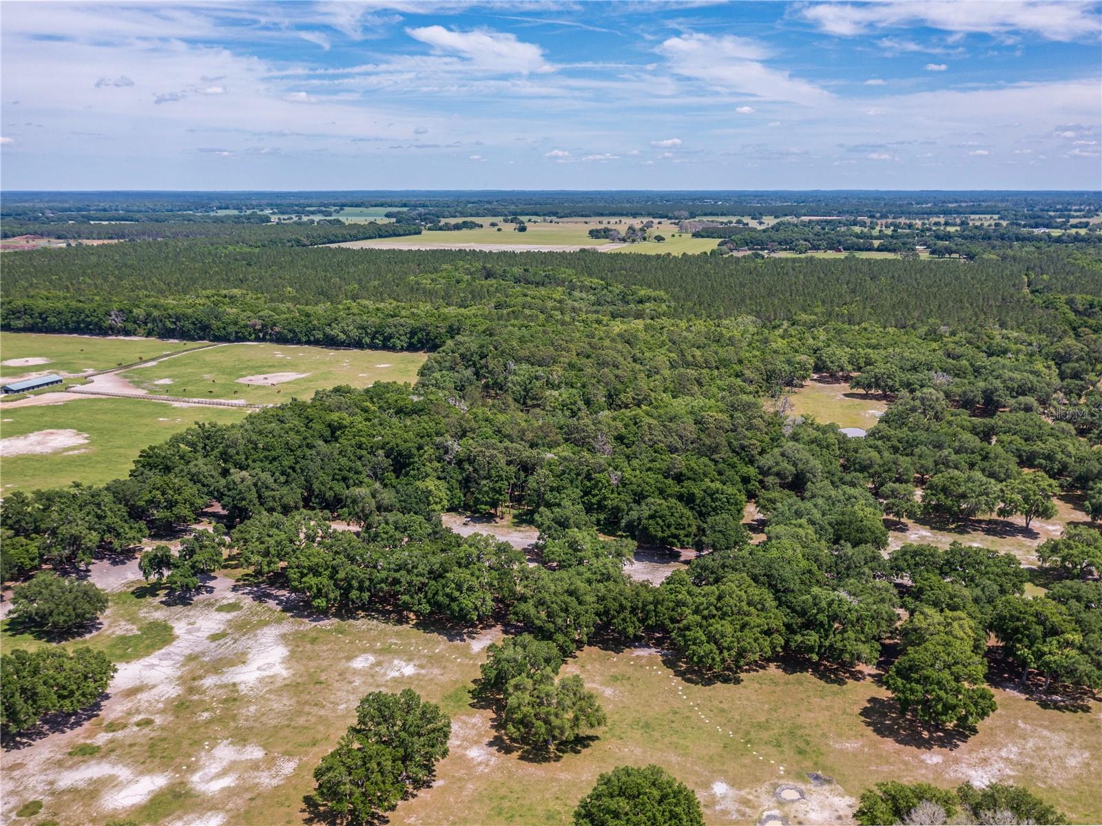 SE 199TH TER, MORRISTON, FL, 32668