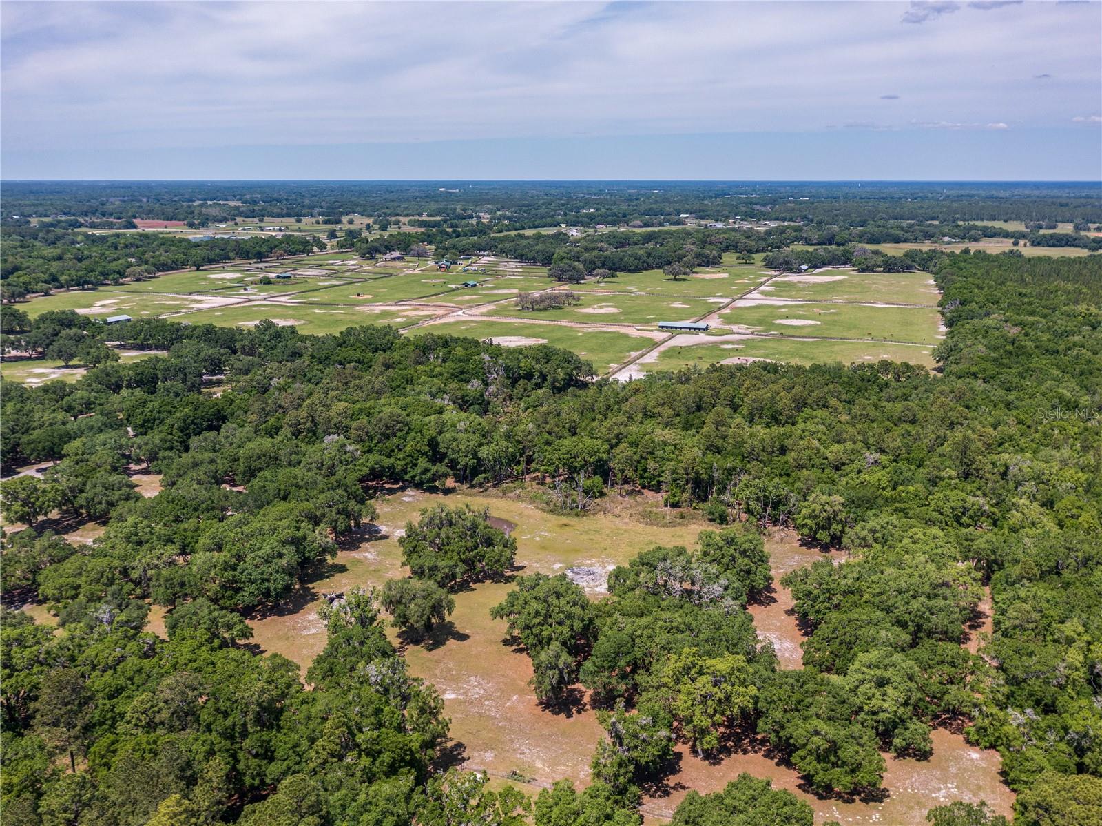 SE 199TH TER, MORRISTON, FL, 32668