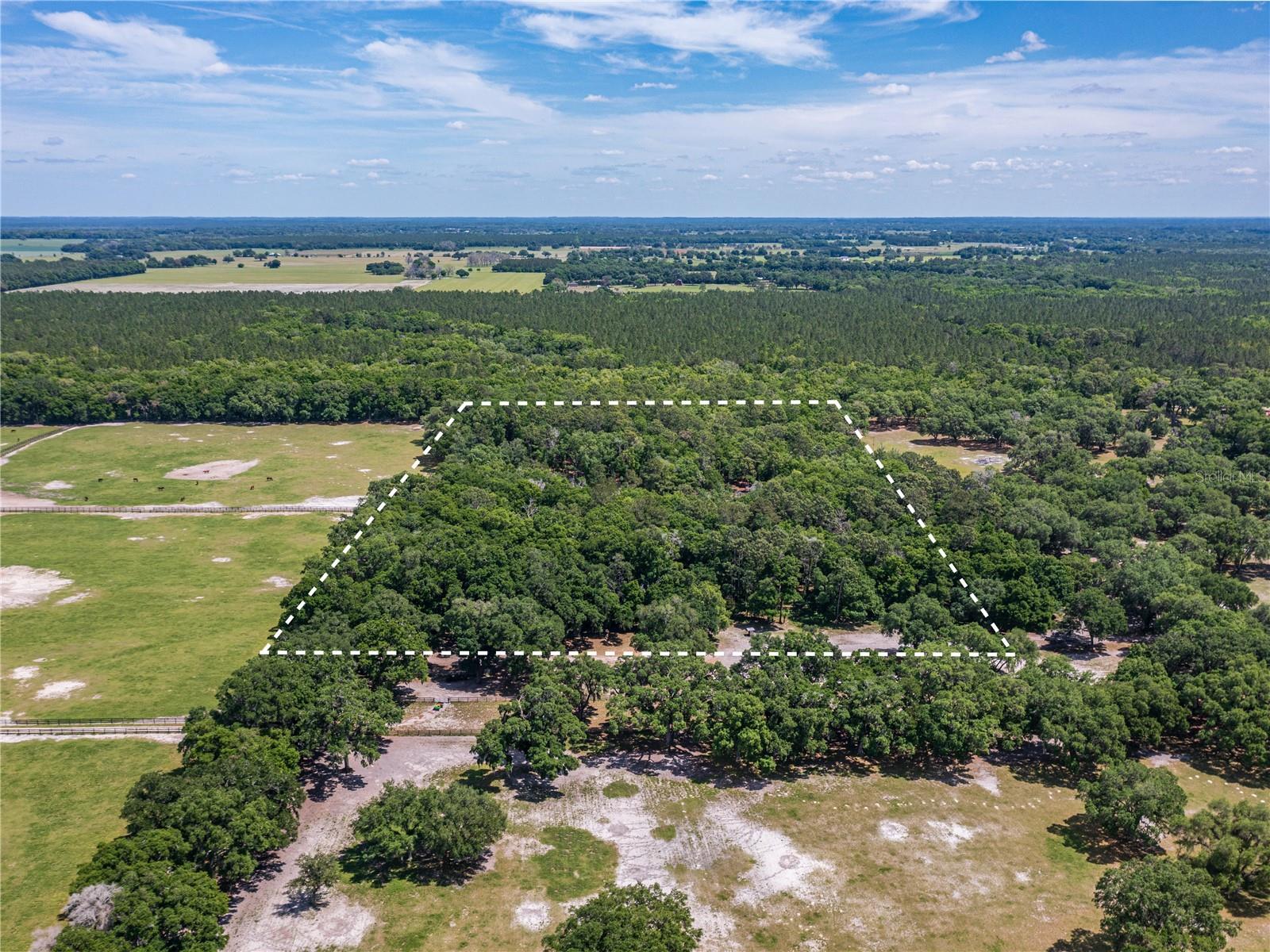 SE 199TH TER, MORRISTON, FL, 32668