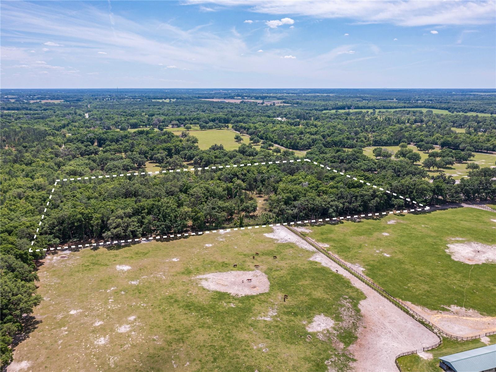 SE 199TH TER, MORRISTON, FL, 32668
