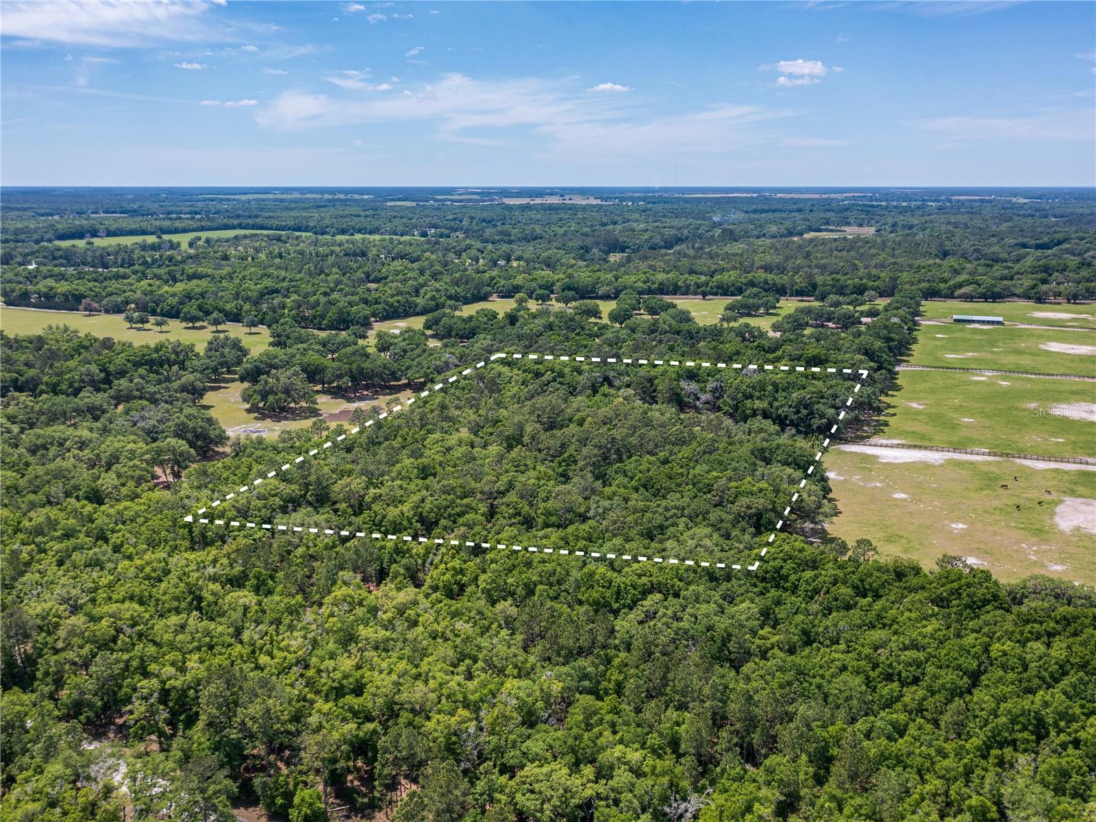 SE 199TH TER, MORRISTON, FL, 32668