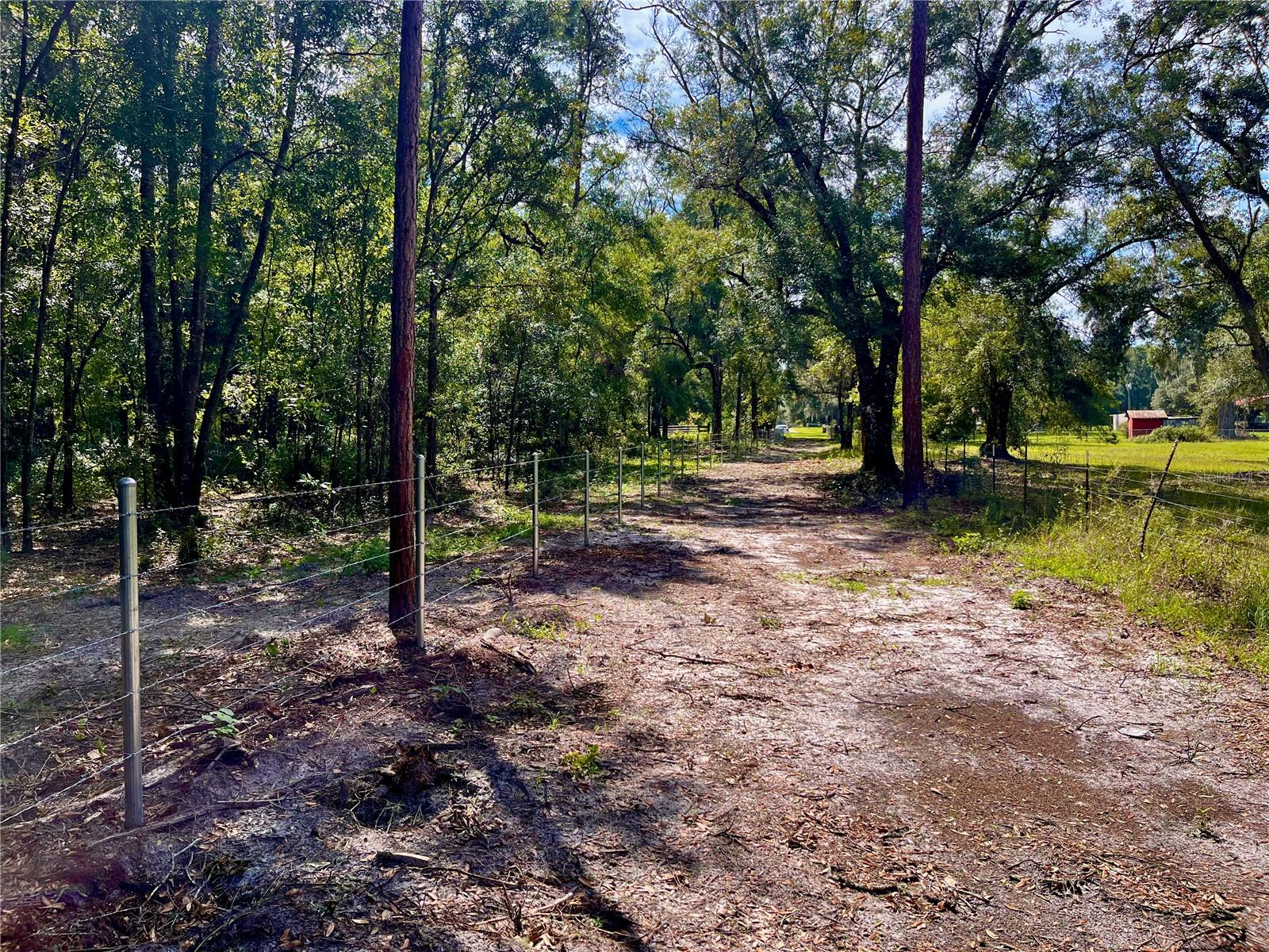 SE 199TH TER, MORRISTON, FL, 32668