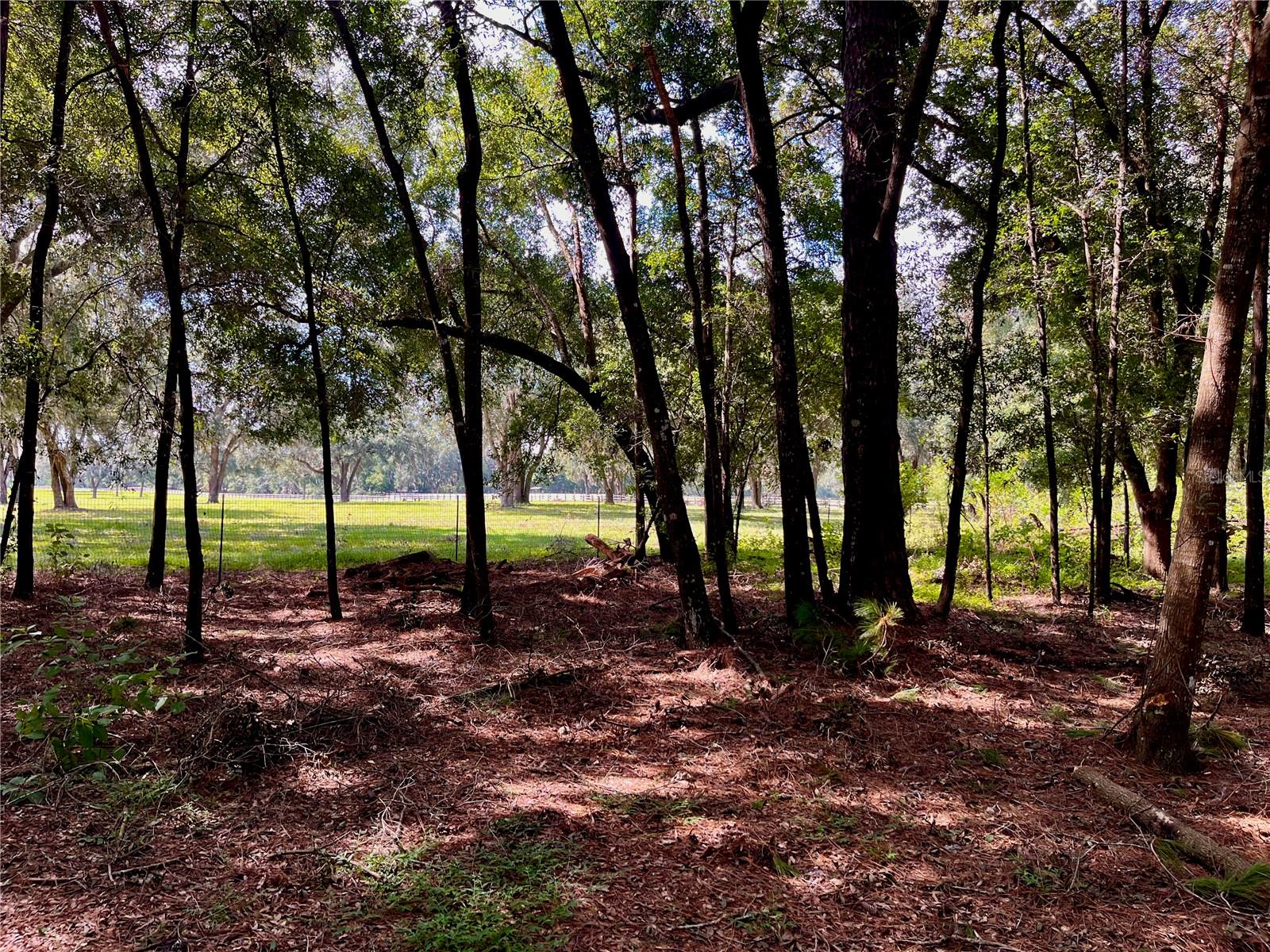 SE 199TH TER, MORRISTON, FL, 32668