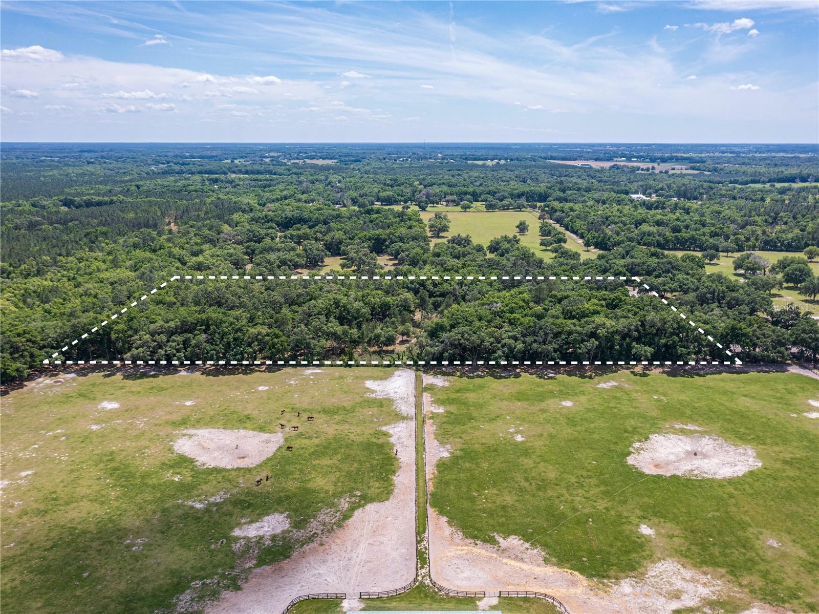 SE 199TH TER, MORRISTON, FL, 32668