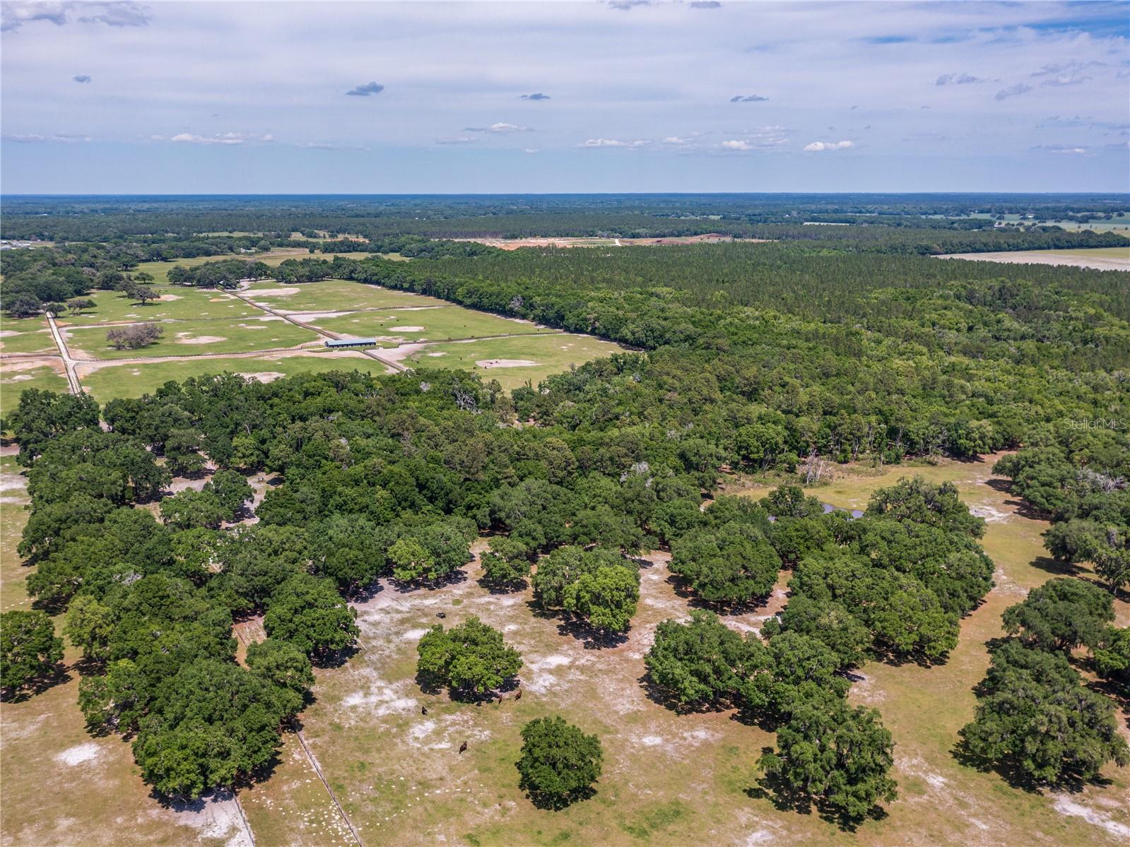 SE 199TH TER, MORRISTON, FL, 32668