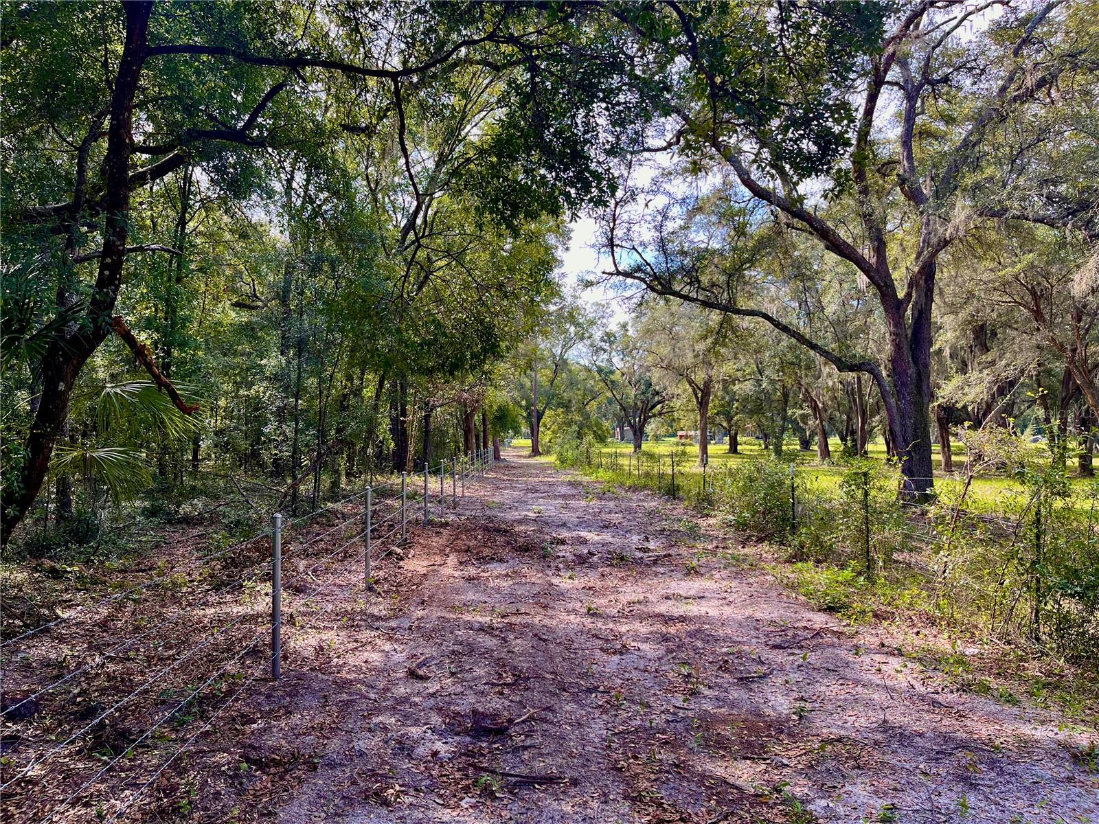 SE 199TH TER, MORRISTON, FL, 32668