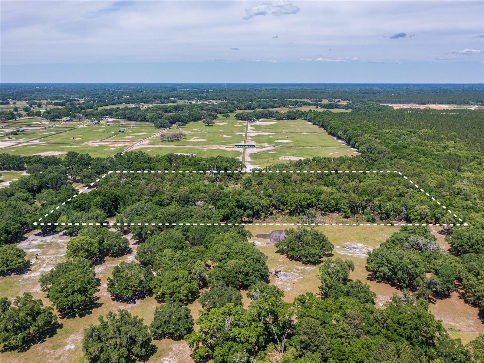 SE 199TH TER, MORRISTON, FL, 32668