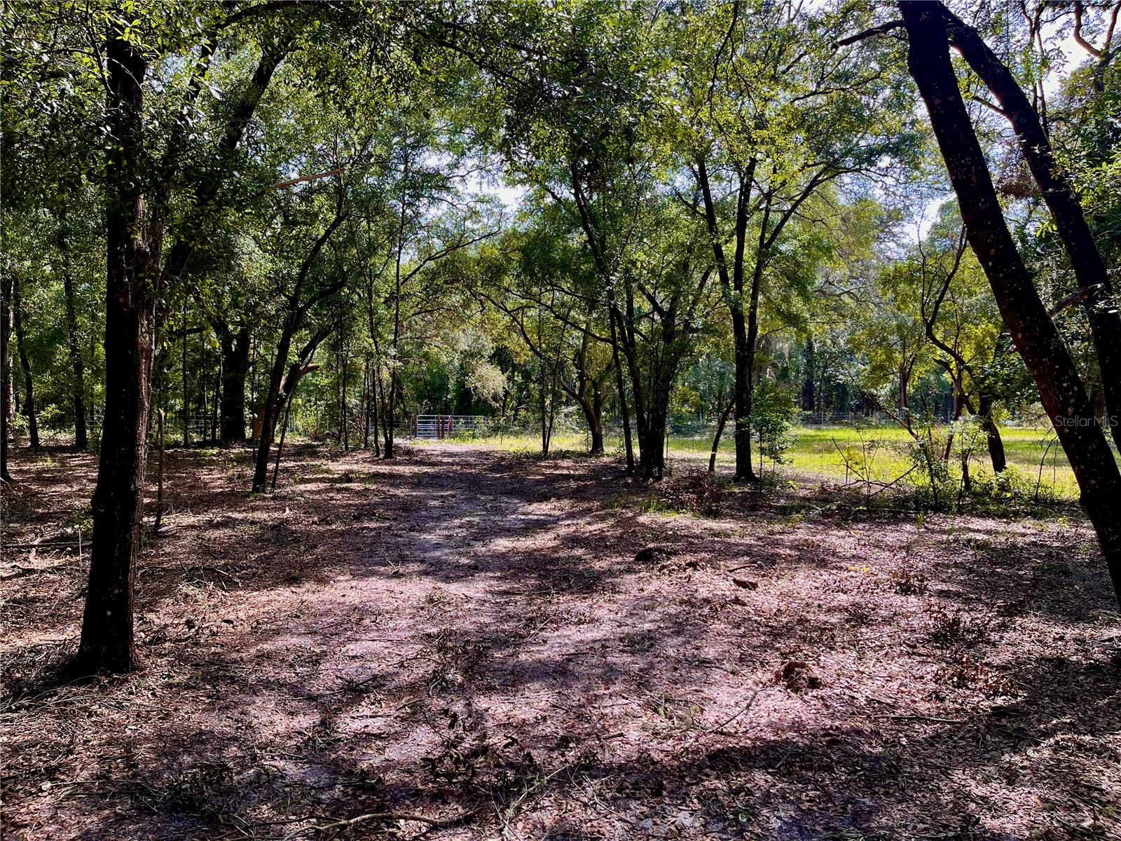 SE 199TH TER, MORRISTON, FL, 32668