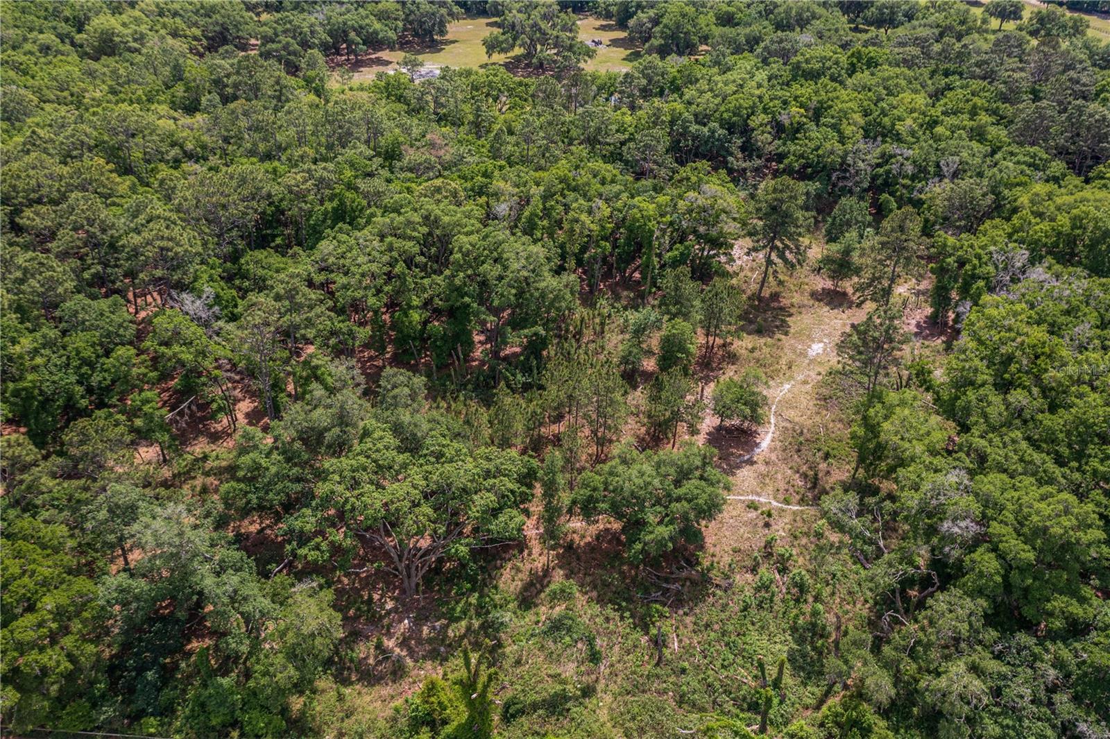 SE 199TH TER, MORRISTON, FL, 32668