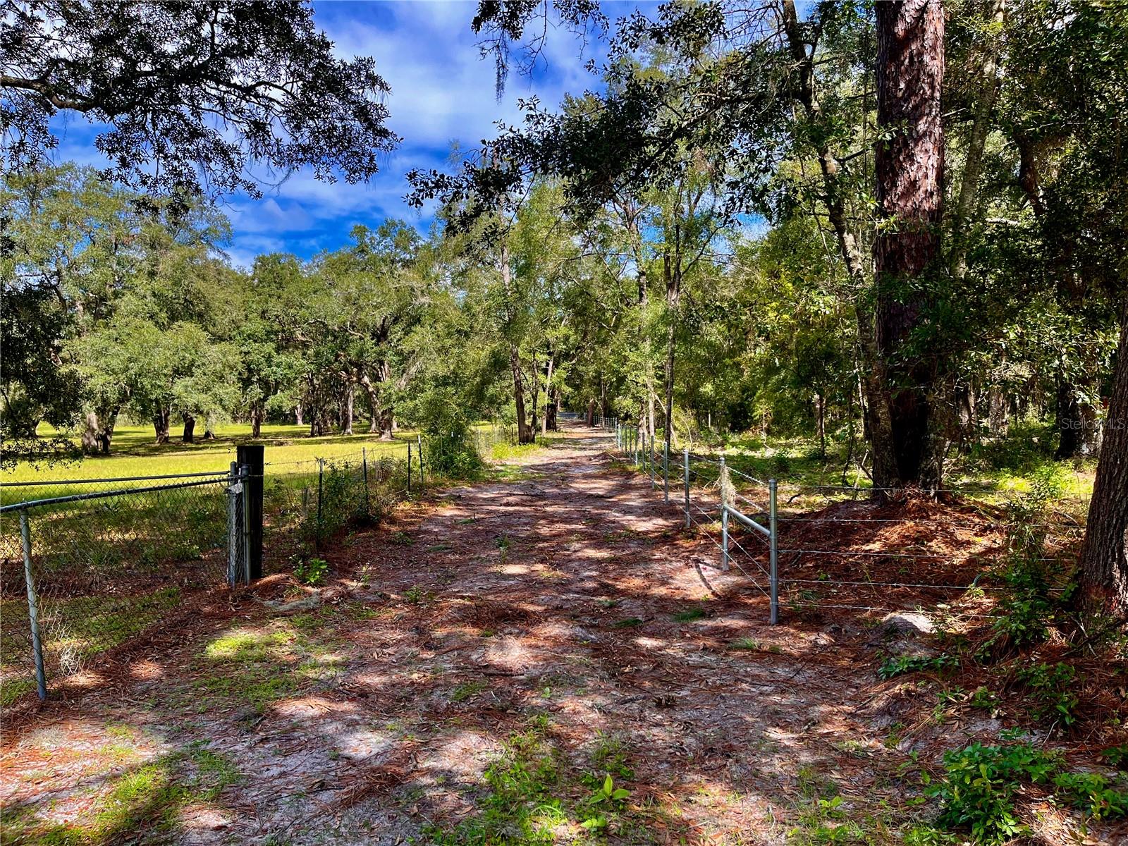 SE 199TH TER, MORRISTON, FL, 32668