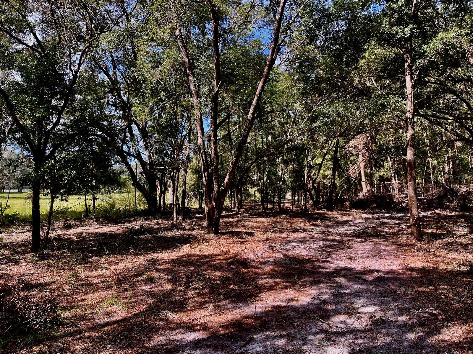 SE 199TH TER, MORRISTON, FL, 32668