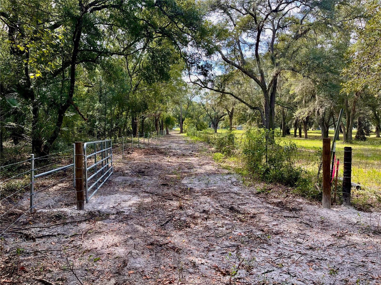 SE 199TH TER, MORRISTON, FL, 32668