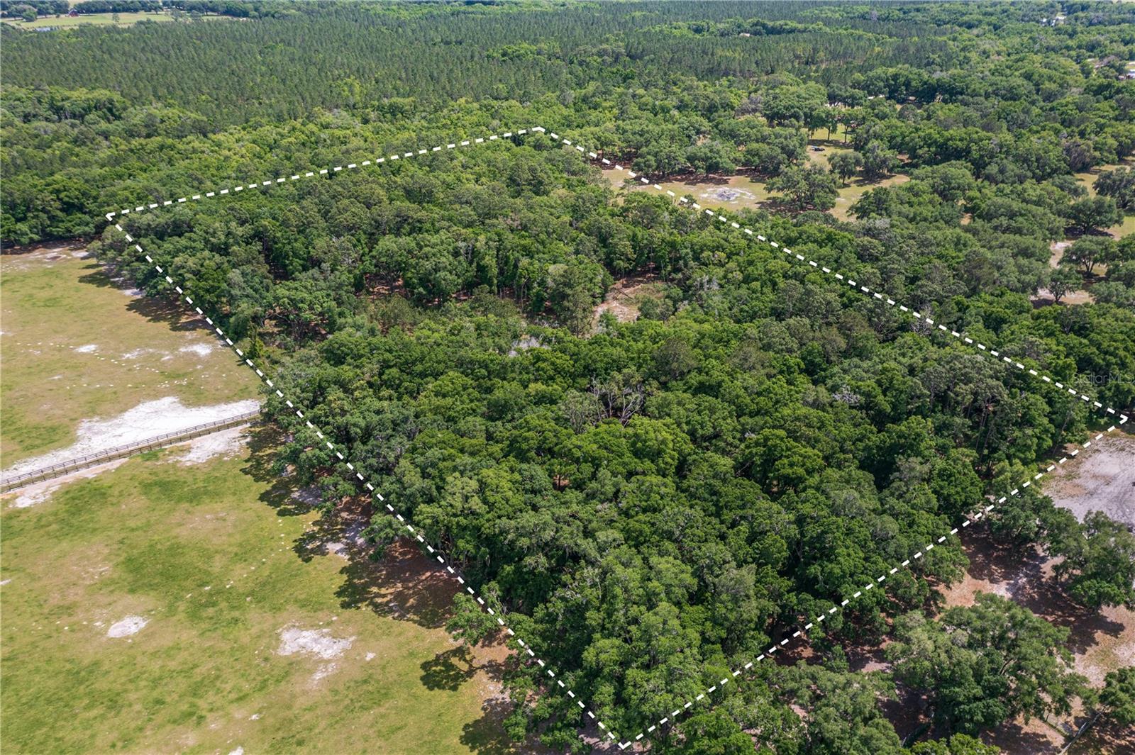 SE 199TH TER, MORRISTON, FL, 32668