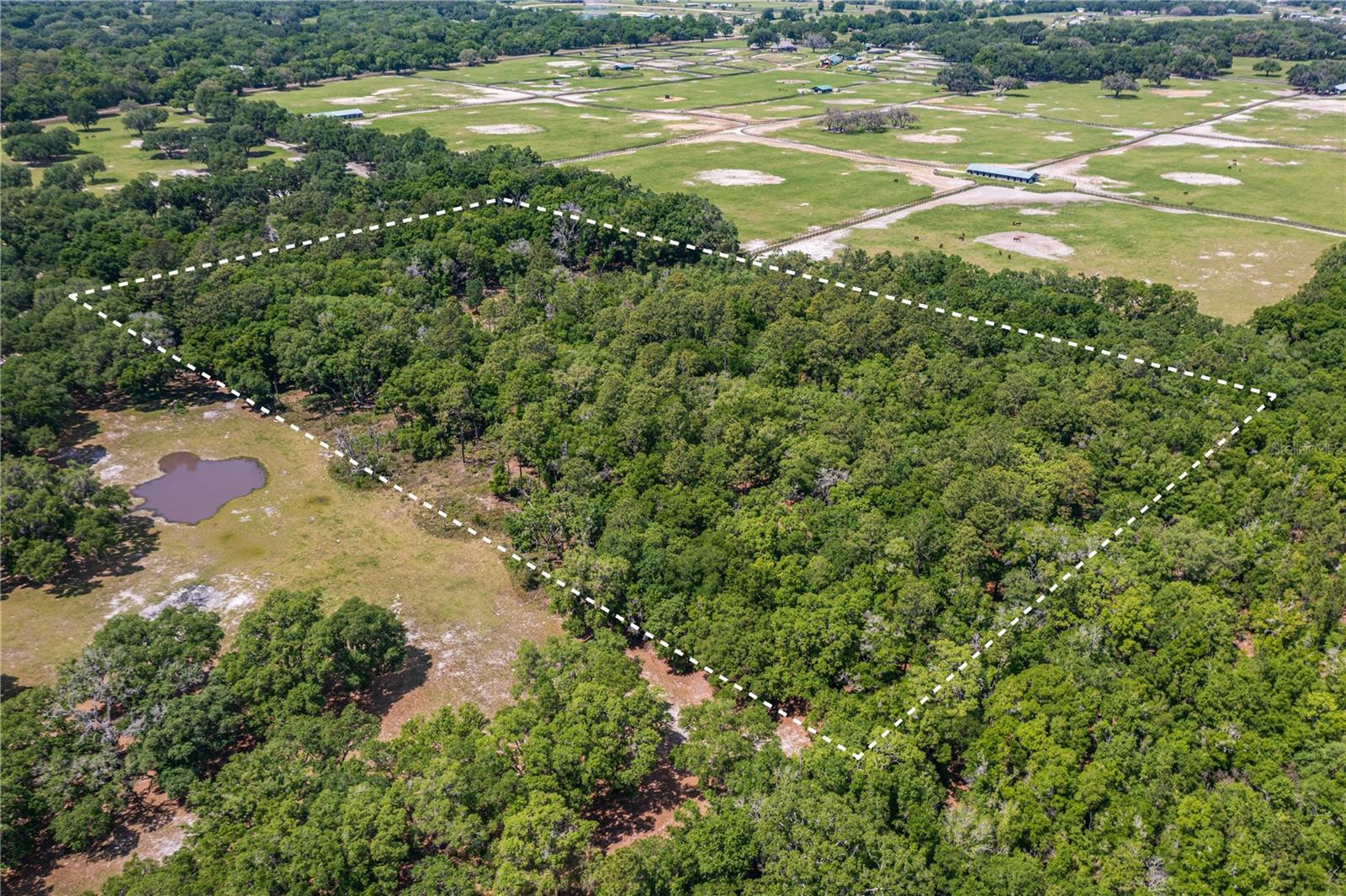 SE 199TH TER, MORRISTON, FL, 32668