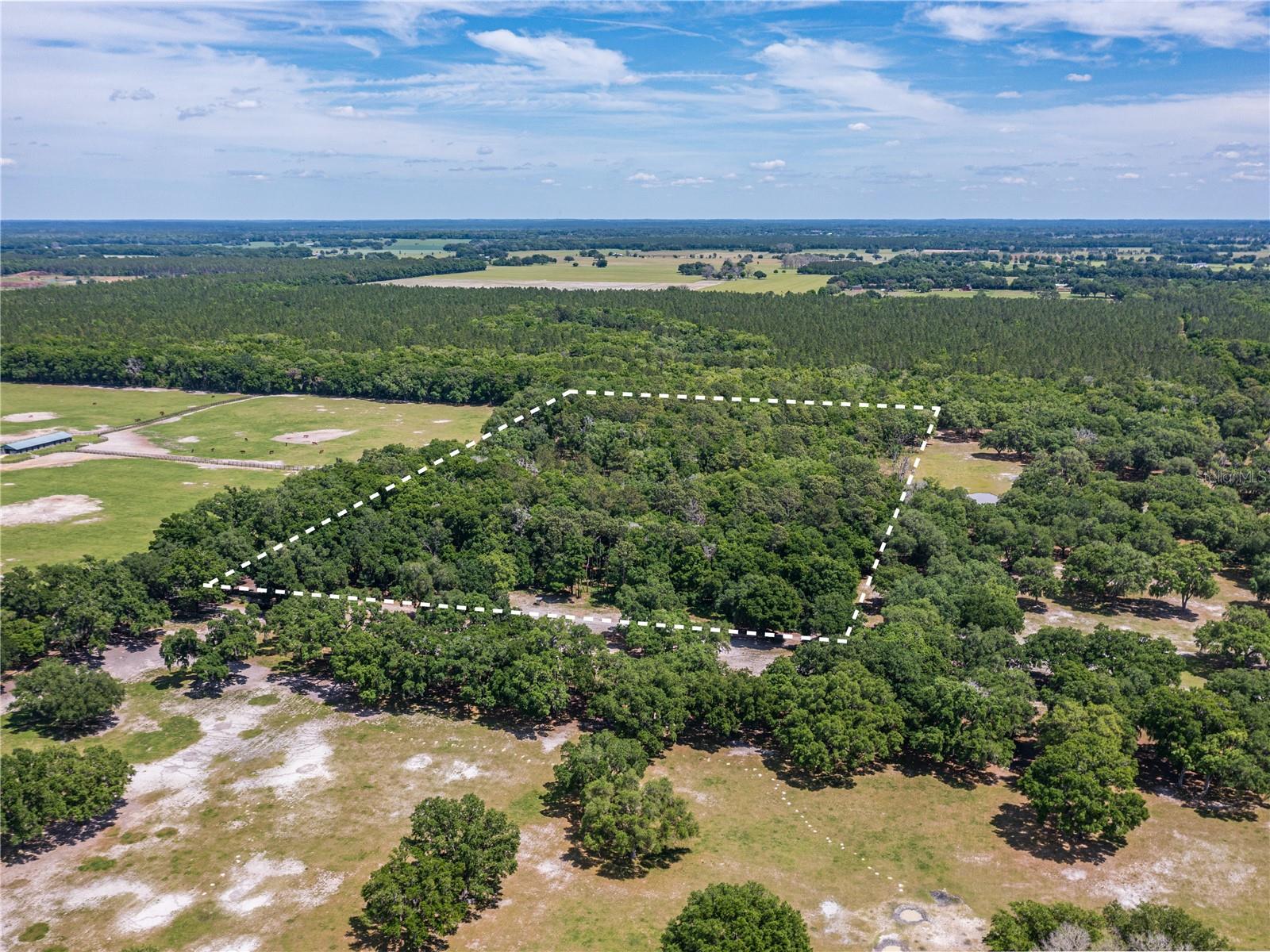 SE 199TH TER, MORRISTON, FL, 32668