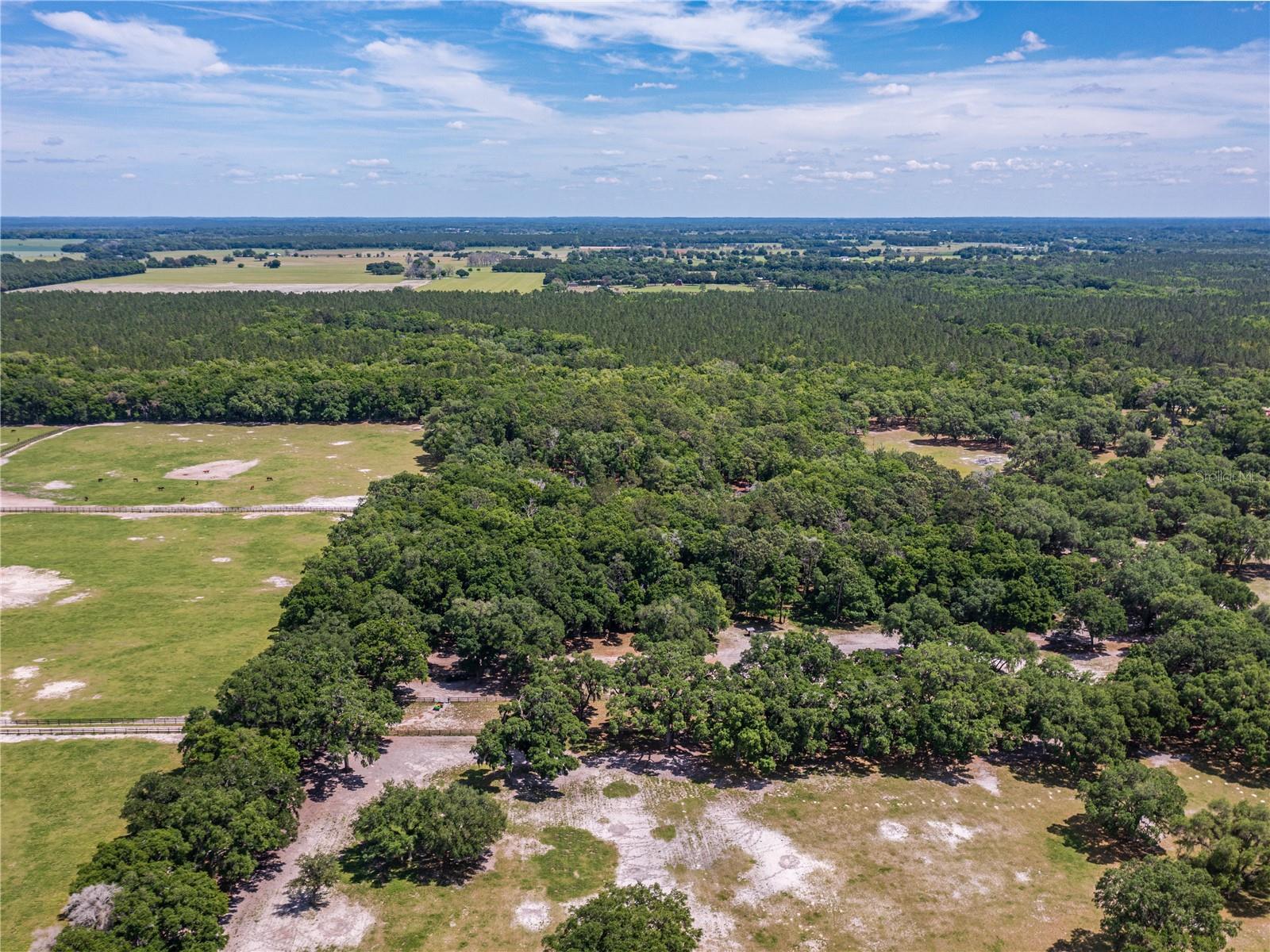SE 199TH TER, MORRISTON, FL, 32668