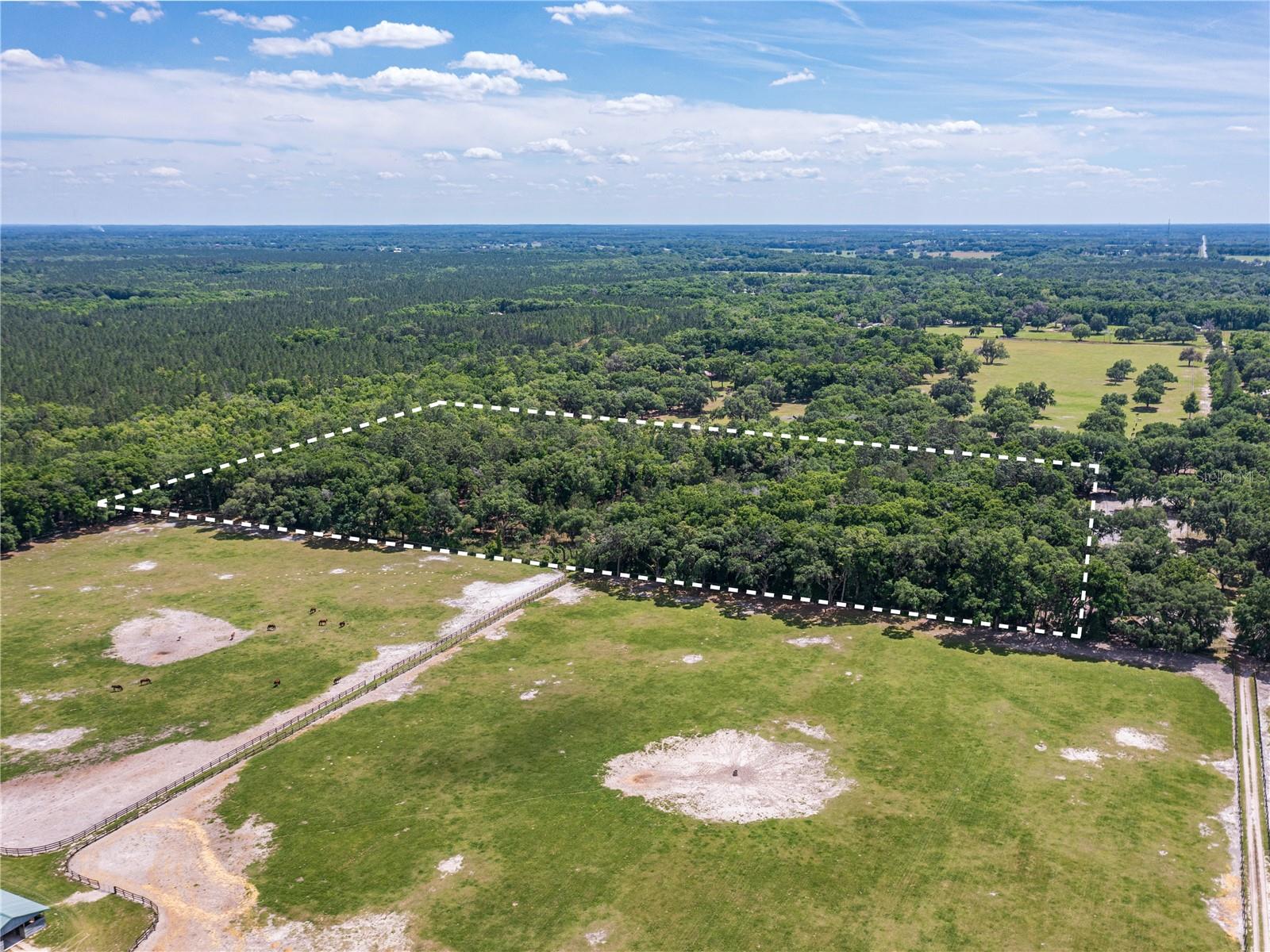SE 199TH TER, MORRISTON, FL, 32668