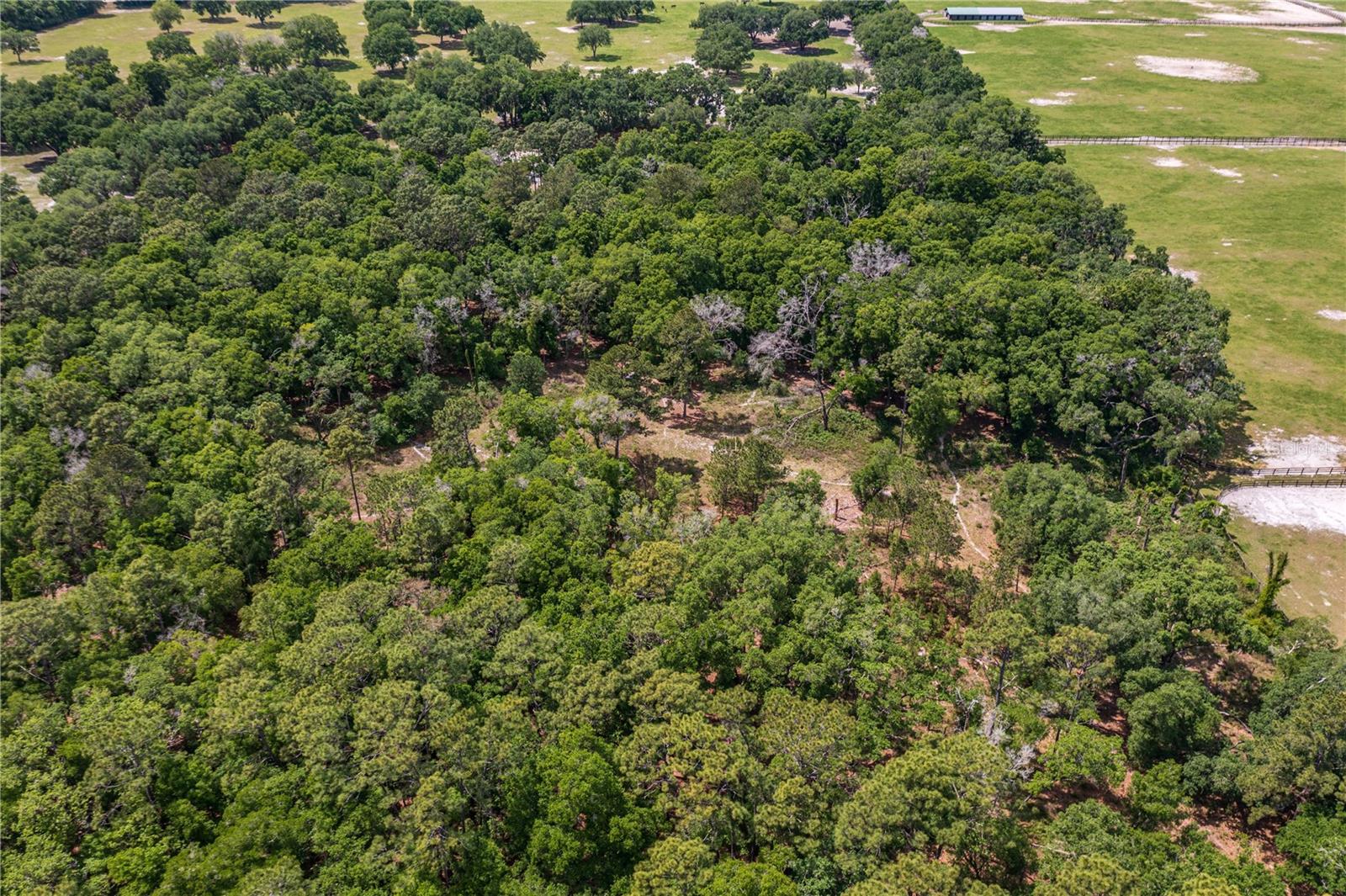 SE 199TH TER, MORRISTON, FL, 32668