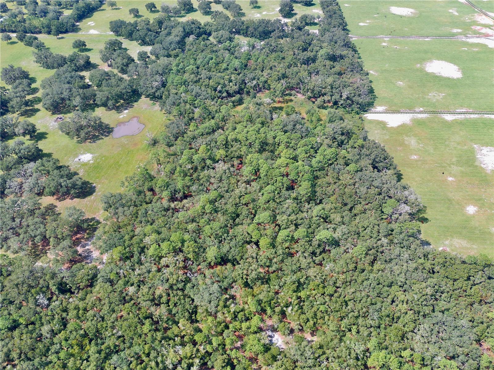 SE 199TH TER, MORRISTON, FL, 32668