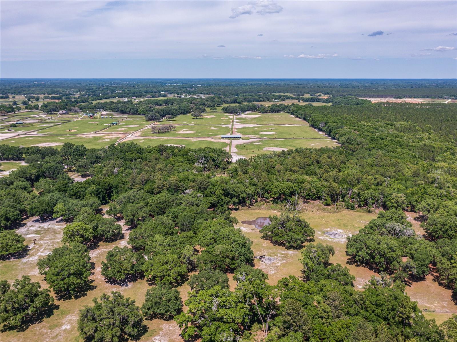 SE 199TH TER, MORRISTON, FL, 32668