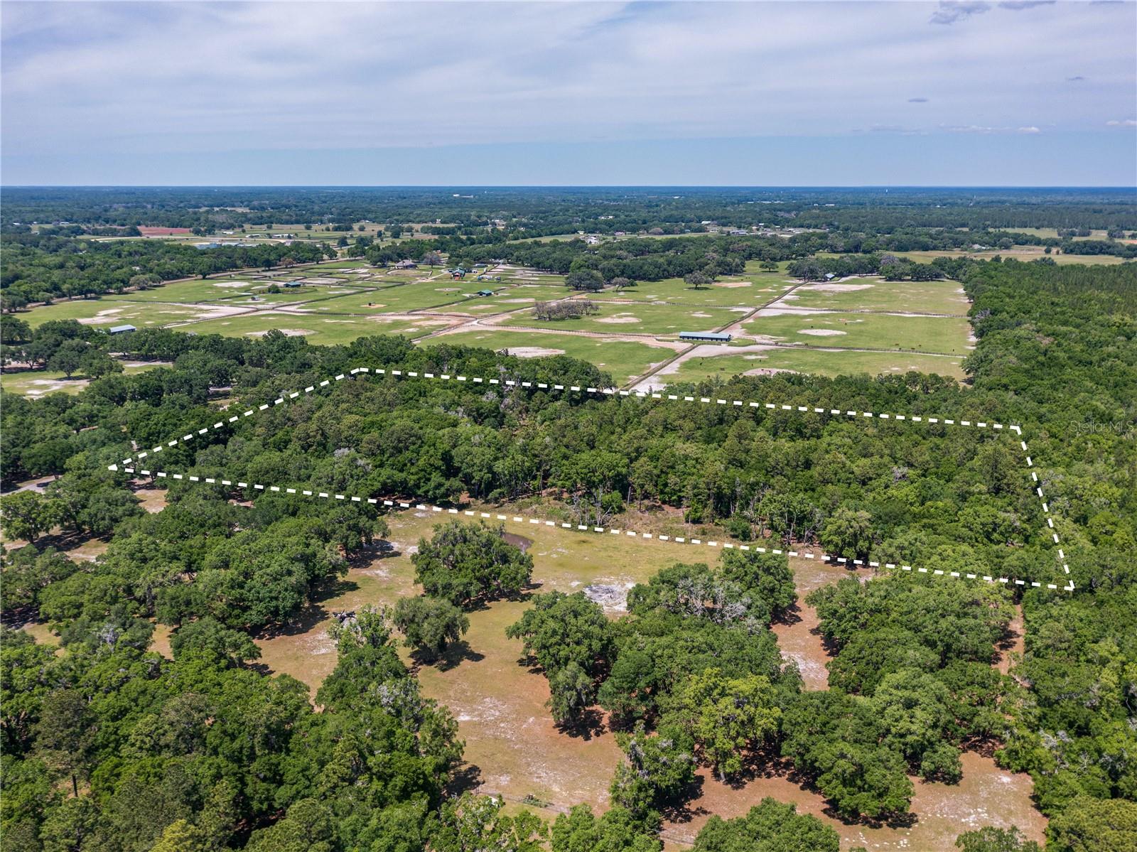 SE 199TH TER, MORRISTON, FL, 32668