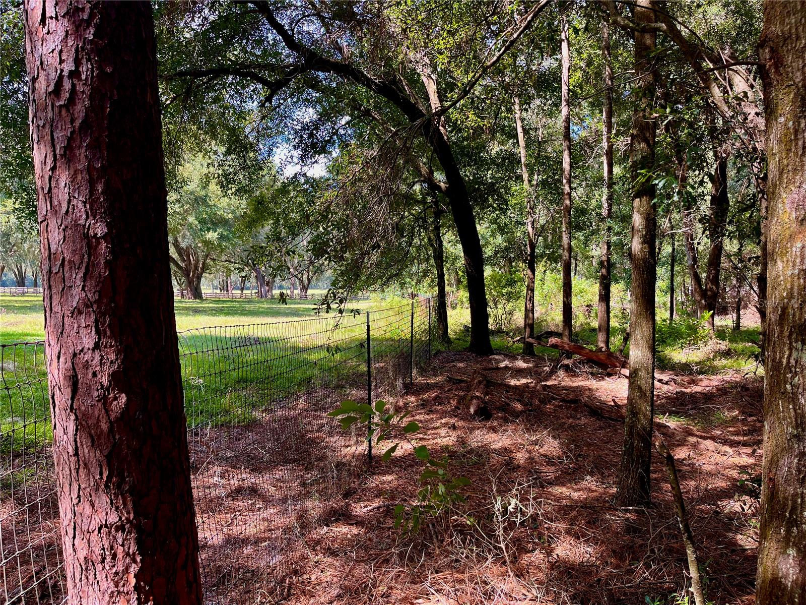 SE 199TH TER, MORRISTON, FL, 32668