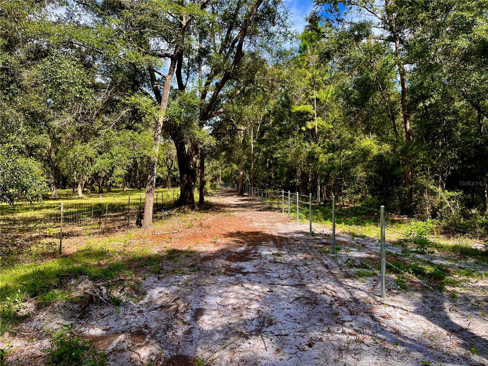SE 199TH TER, MORRISTON, FL, 32668