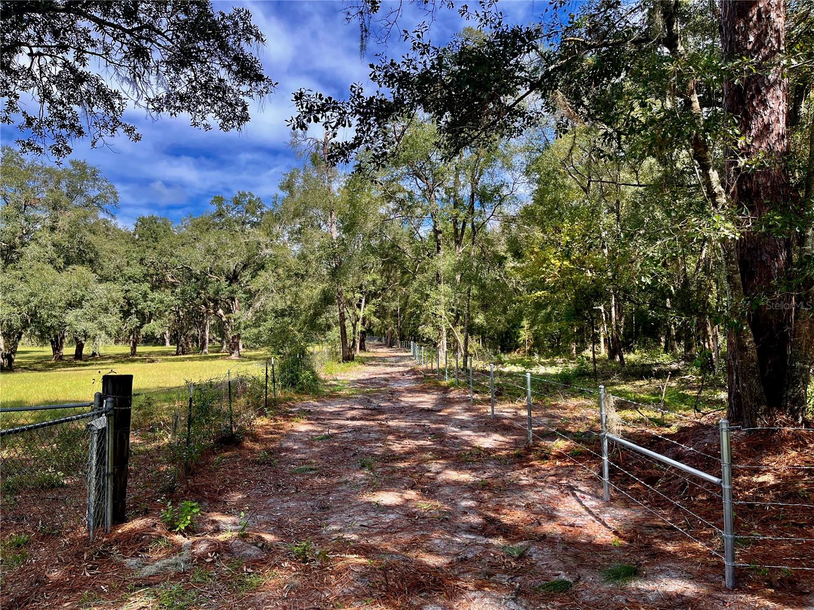 SE 199TH TER, MORRISTON, FL, 32668