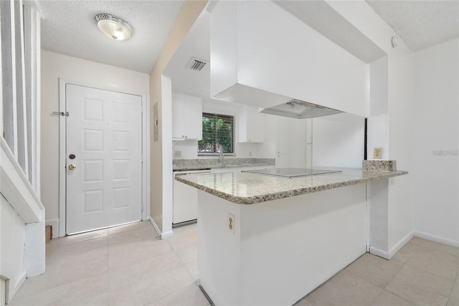 4006 PINELIMB CT, TAMPA, FL, 33614