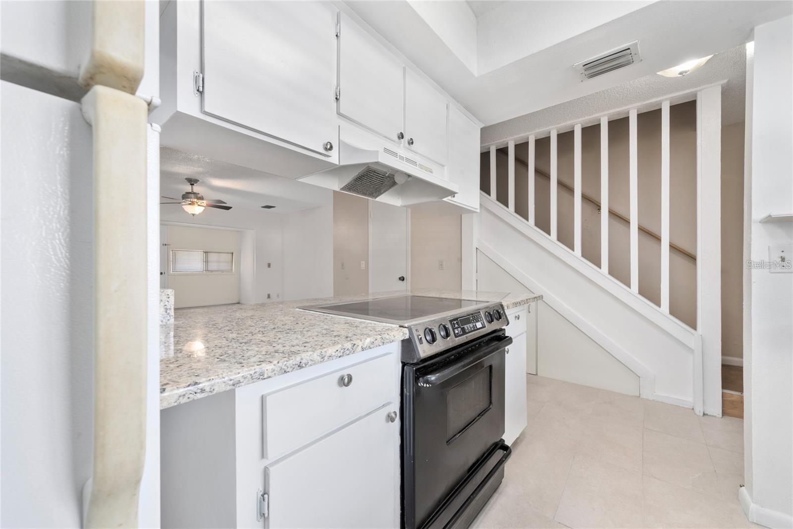 4006 PINELIMB CT, TAMPA, FL, 33614