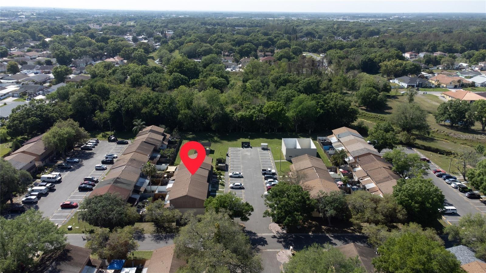 4006 PINELIMB CT, TAMPA, FL, 33614