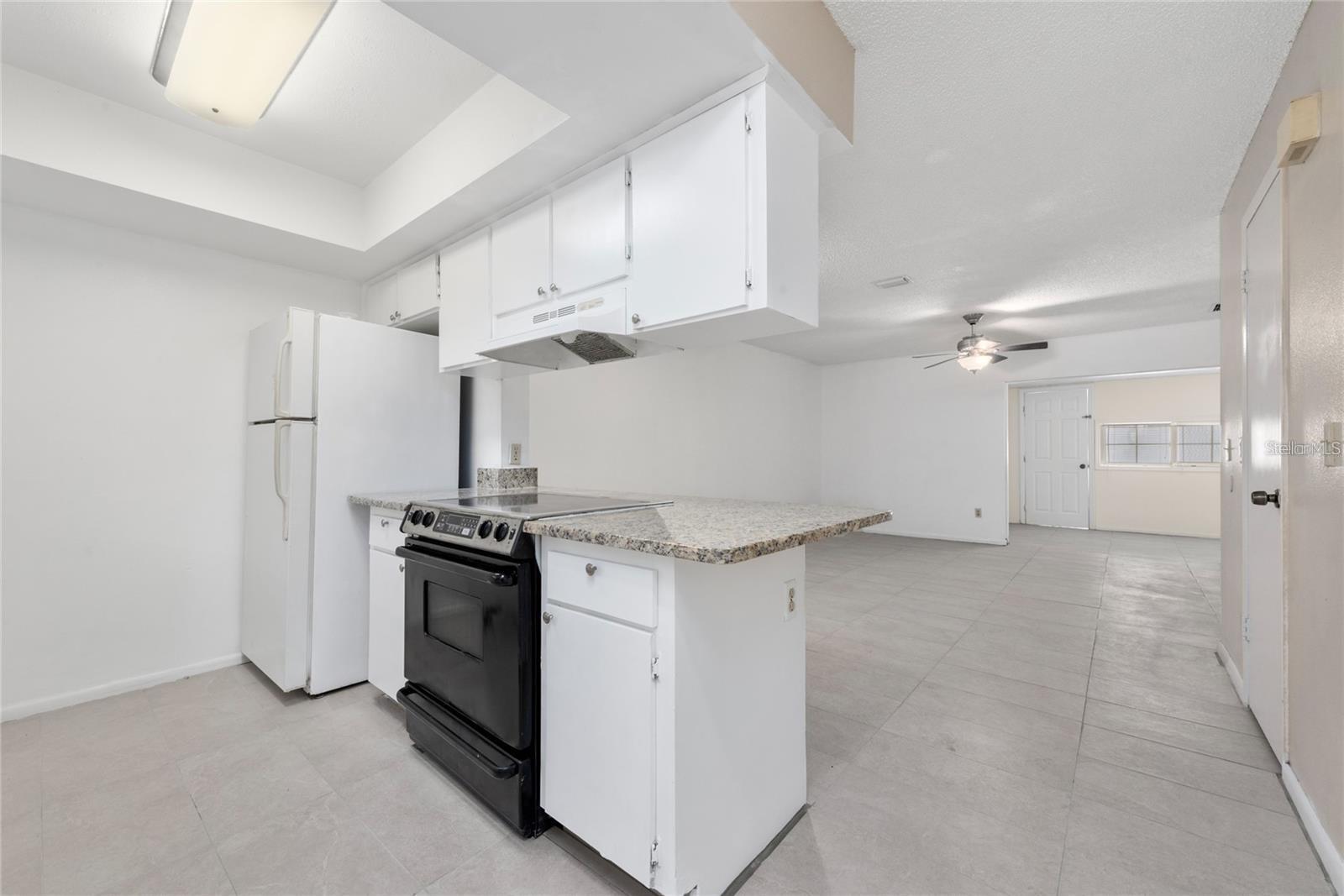 4006 PINELIMB CT, TAMPA, FL, 33614